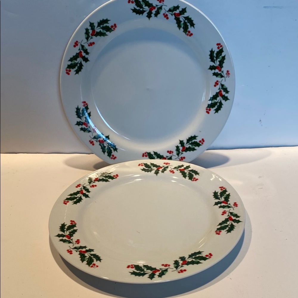 Vintage 1989 Porcelain Dinnerware - Set of 2 Dinner Plates